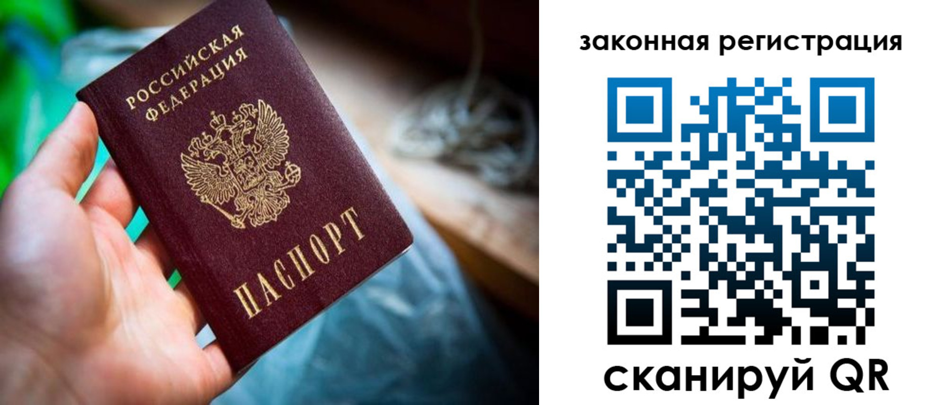 прописка в Королёве